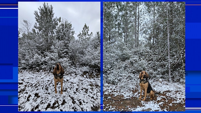 Florida sees snow for the second year in a row