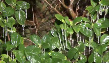 What to know to stay safe and keep costs down