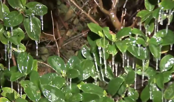 What to know to stay safe and keep costs down