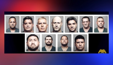 JSO arrests 11 men after rooster-fighting ring bust at Northside home