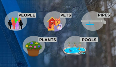 Tips to Protect Your Home, Pets, Plants & Pipes During a Cold Snap