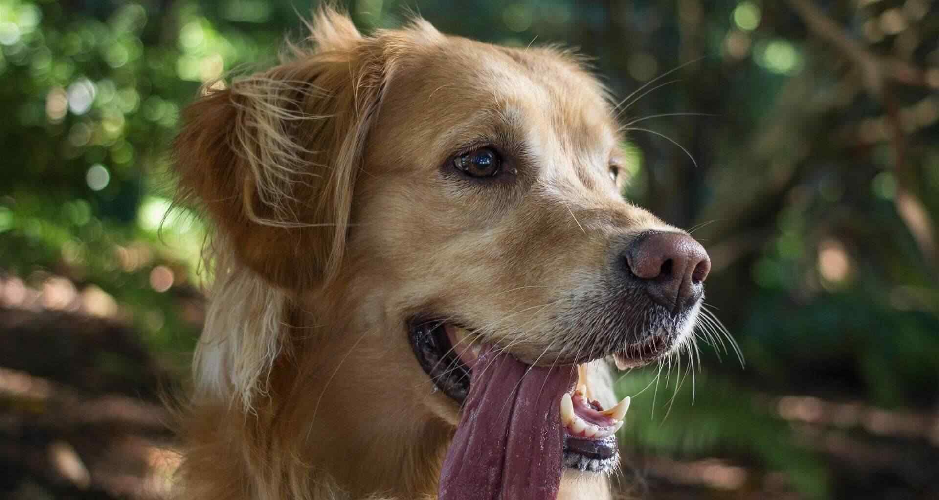 A best-practices framework that puts care first