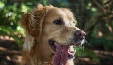 A best-practices framework that puts care first