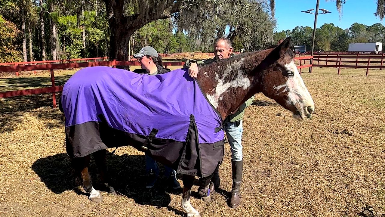 Central Florida horse rescue sanctuary on high alert