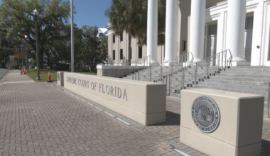 Florida Supreme Court makes ruling in at-home artificial insemination case