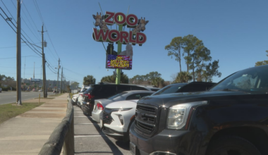 ZooWorld reopens after fire that left7 lemurs dead