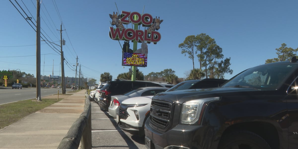 ZooWorld reopens after fire that left7 lemurs dead