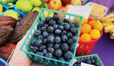 Guide to Enjoying Downtown Stuart