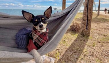 Five ways to give back and get involved in your community