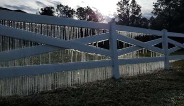 Everything to know about rare cold, tips and more