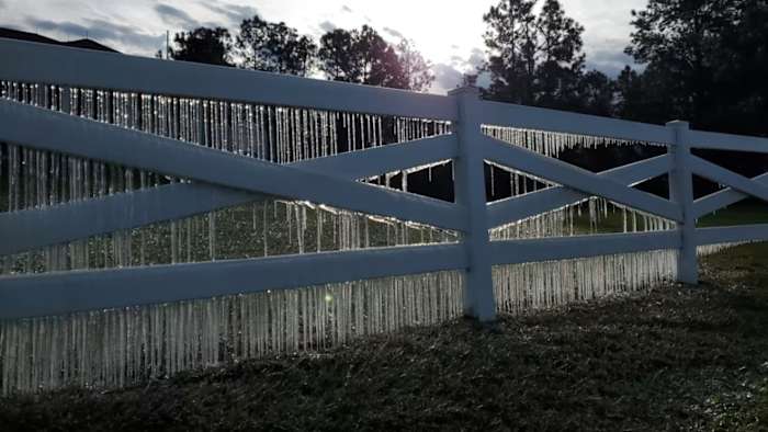 Everything to know about rare cold, tips and more