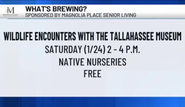 What’s Brewing - Wildlife Encounters with the Tallahassee Museum