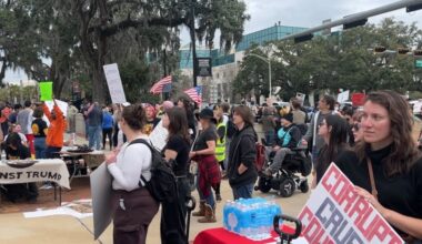 Large groups gathered at the Florida Capitol for nationwide ‘No Kings’ protest Saturday