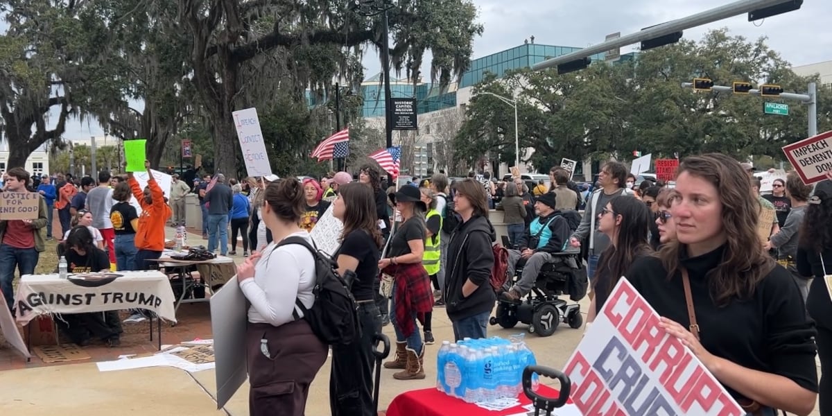 Large groups gathered at the Florida Capitol for nationwide ‘No Kings’ protest Saturday