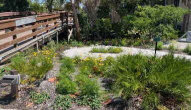DDWS reports on refuge programming and more - SANIBEL-CAPTIVA