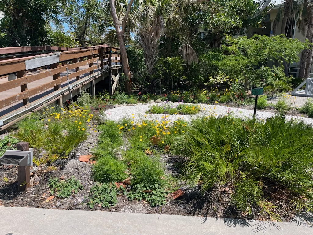 DDWS reports on refuge programming and more - SANIBEL-CAPTIVA