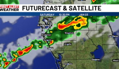 The Suncoast welcomes much needed rain