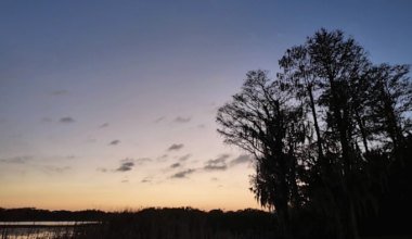 Here’s why the strengthening drought could become a major concern for Central Florida