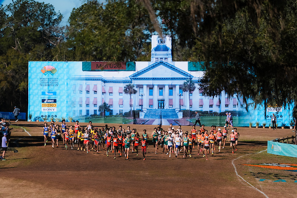 Solid GB Performances at Tallahassee