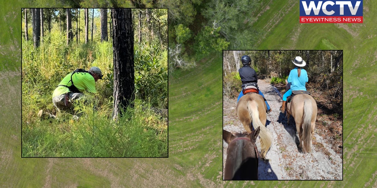 North Florida Search Team steps in to bring the missing and lost home