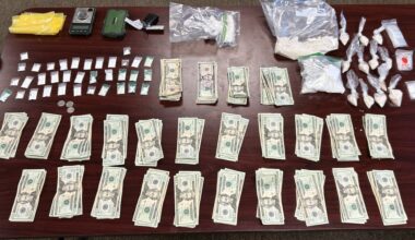 Two Tallahassee men arrested in Thomasville after fleeing authorities, flinging drugs out window