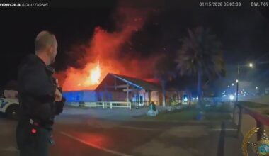 ZooWorld gives update on animals injured in fire