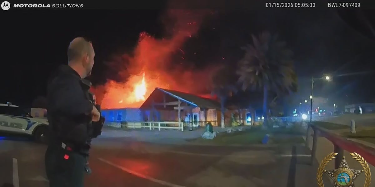 ZooWorld gives update on animals injured in fire