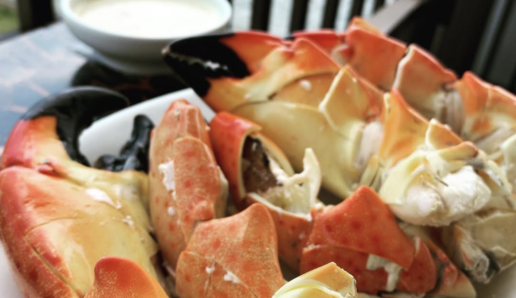 Where to Buy Fresh Seafood in Miami