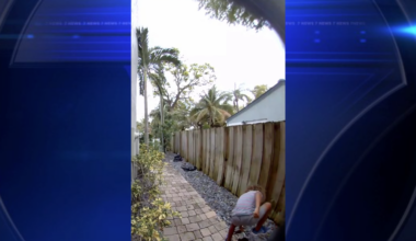 Police seek help identifying juvenile in Fort Lauderdale duck killing caught on video - WSVN 7News | Miami News, Weather, Sports