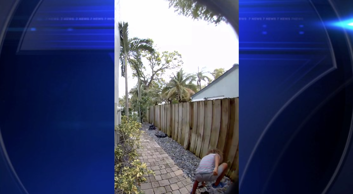 Police seek help identifying juvenile in Fort Lauderdale duck killing caught on video - WSVN 7News | Miami News, Weather, Sports