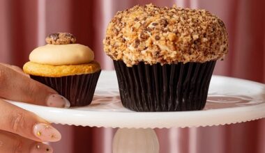 Sprinkles Cupcakes closes all stores nationwide — including two in region