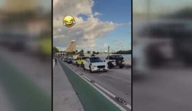 Waymo stops on Venetian Causeway, upsetting drivers and sparking safety concerns – NBC 6 South Florida