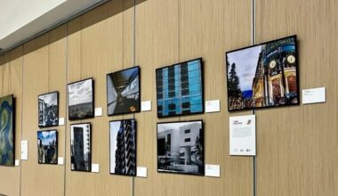 Westshore Alliance plans banner year for public art – 83 Degrees Media