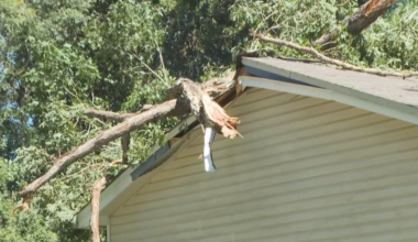 Insurance expert says now is the time to take a close look at your policies 