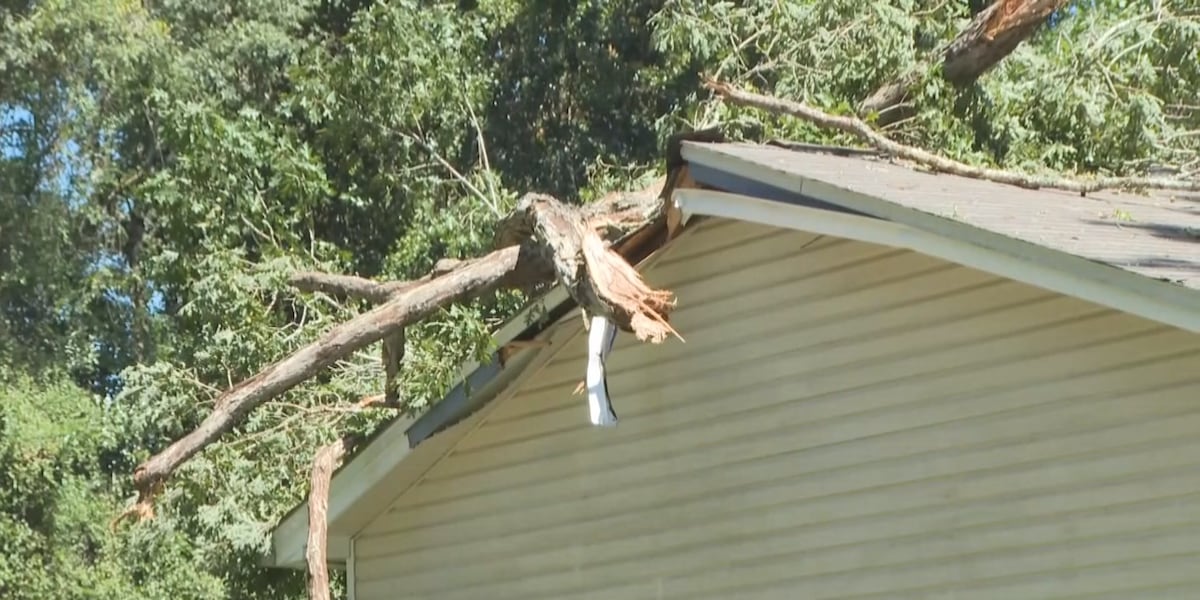 Insurance expert says now is the time to take a close look at your policies 