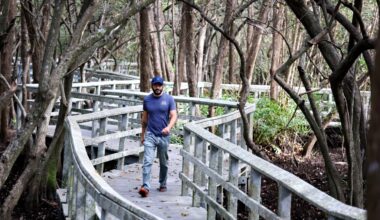 Is Secret Woods Nature Center still open?