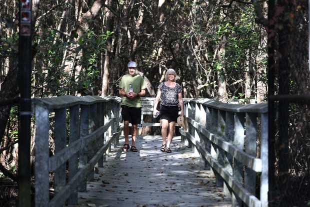 Tim and Rosemary Fitzgerald, visiting from Canada, walk a trail at Secret Woods Nature Center in Fort Lauderdale, Friday, Jan. 9, 2026. (Carline Jean/South Florida Sun Sentinel)