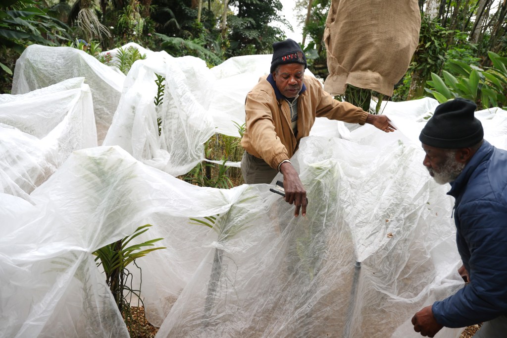 How to get South Florida ready for the freeze this weekend