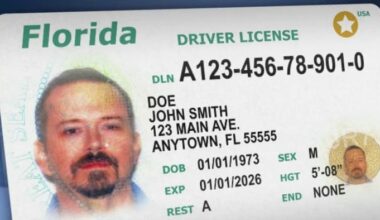 Exams for Florida driver’s licenses will be English-only. Here’s when