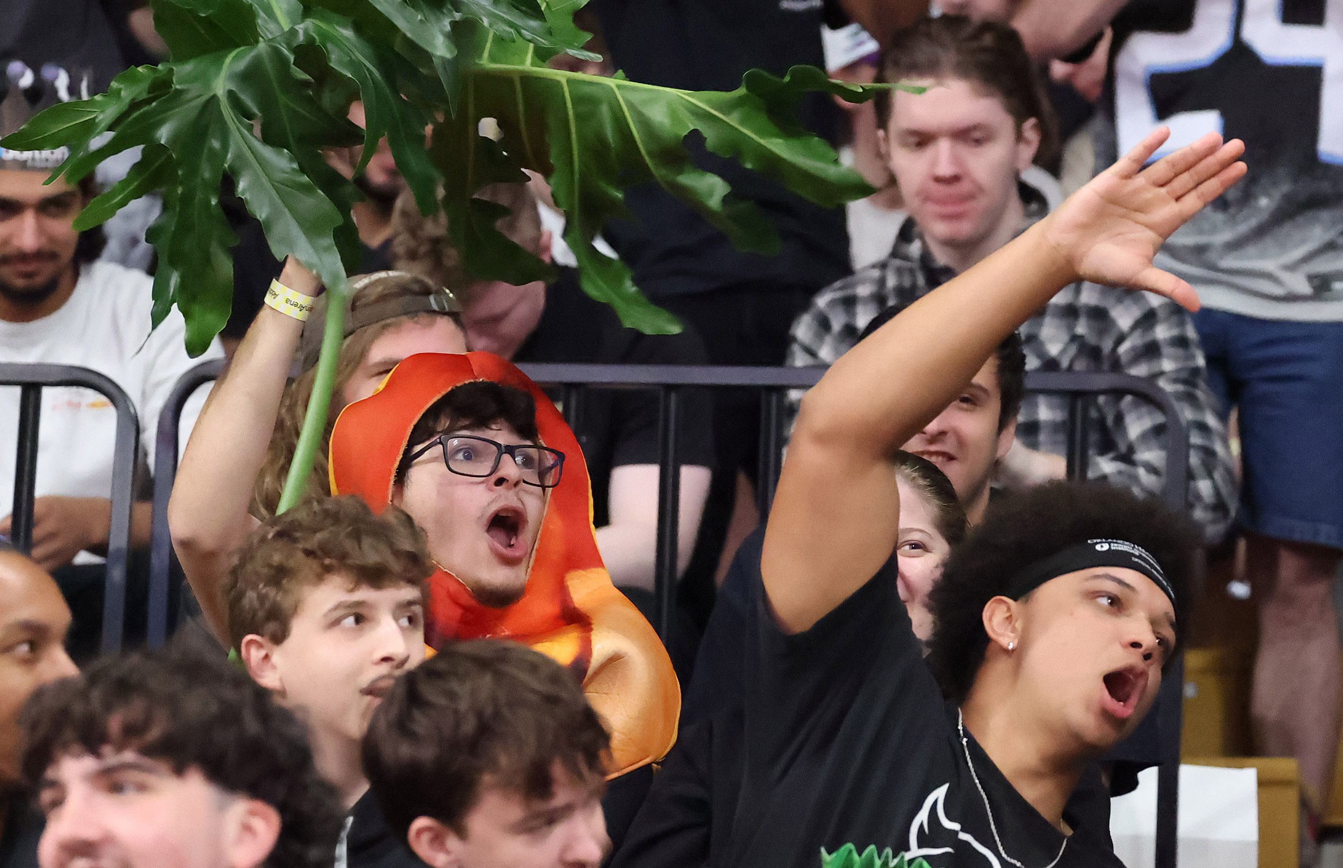 UCF fans cheeer during the Arizona at UCF mens college...