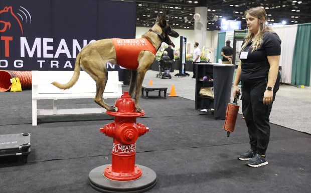 Emma Maxwell runs a dog through a routine at the "Sit Means Sit Dog Training" exhibit during the Orlando Home and Garden Show at the Orange County Convention Center on Friday, January 5, 2023. The show returns for its fall edition Sept. 27-29. (Stephen M. Dowell/Orlando Sentinel)