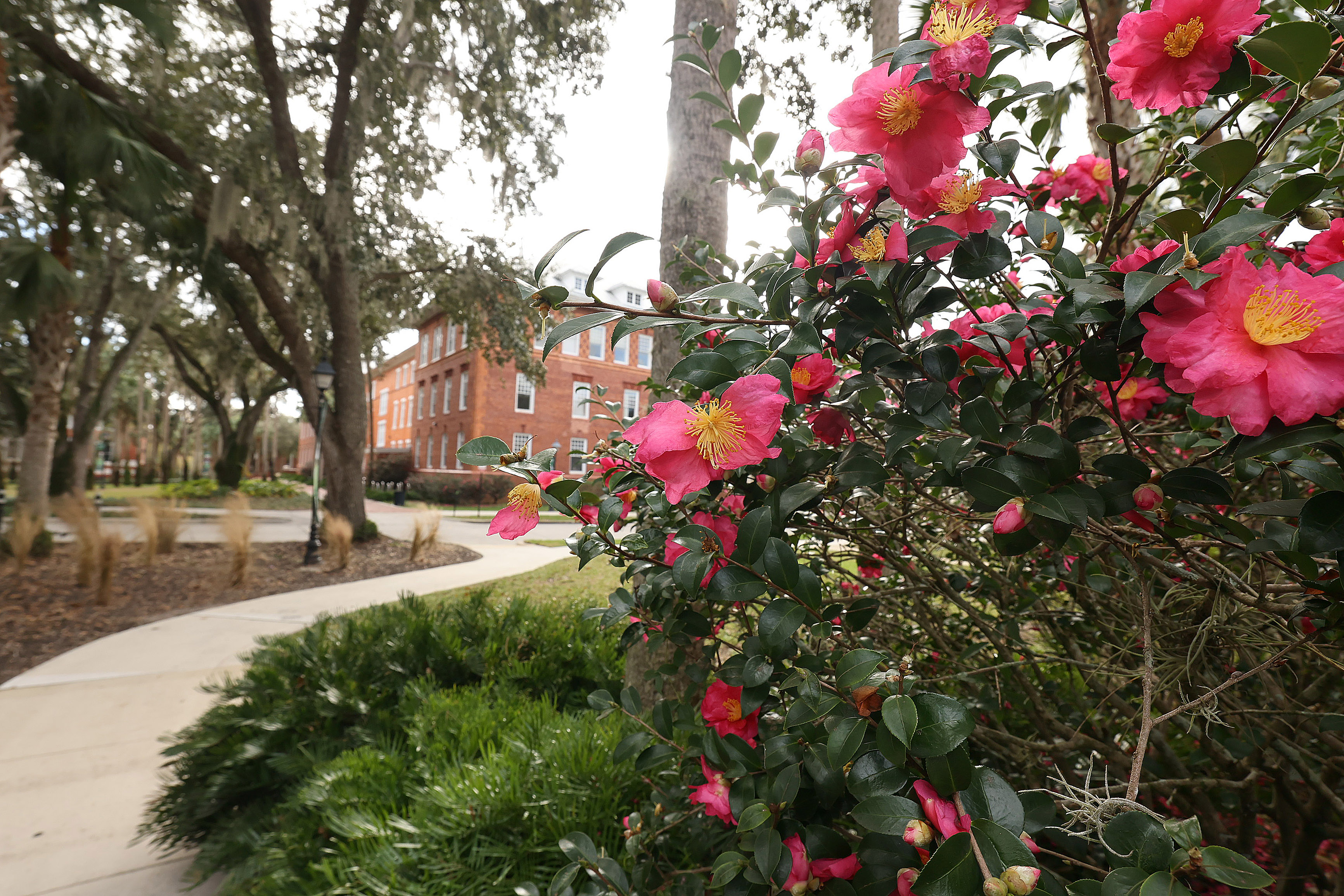 Stetson University is pictured on Wednesday, December 10, 2025. (Stephen...