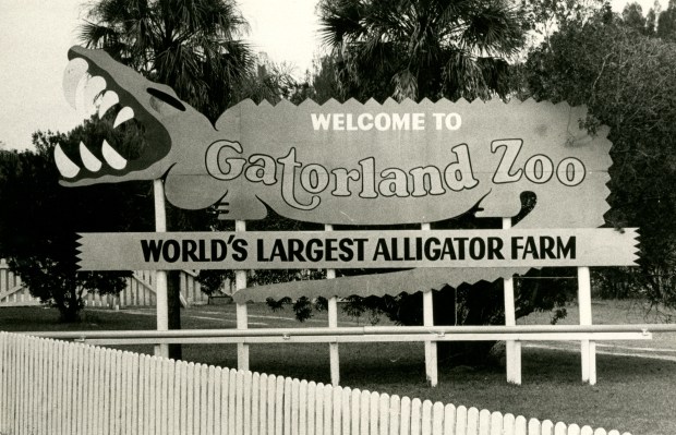 Gatorland sign shown in 1979. (Orlando Sentinel file)