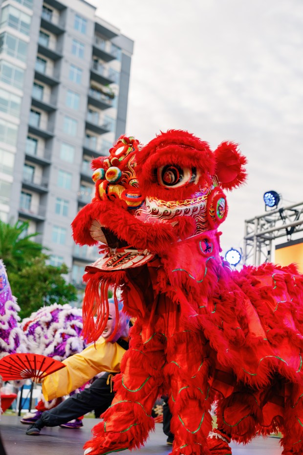 The lion dancer performance is always a huge draw at Celebrate Lunar. (Photo courtesy Celebrate Lunar)