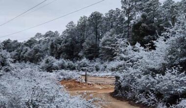 Snow returns to Panhandle for second year in a row
