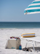 The Luce Lounge Chair Cooler