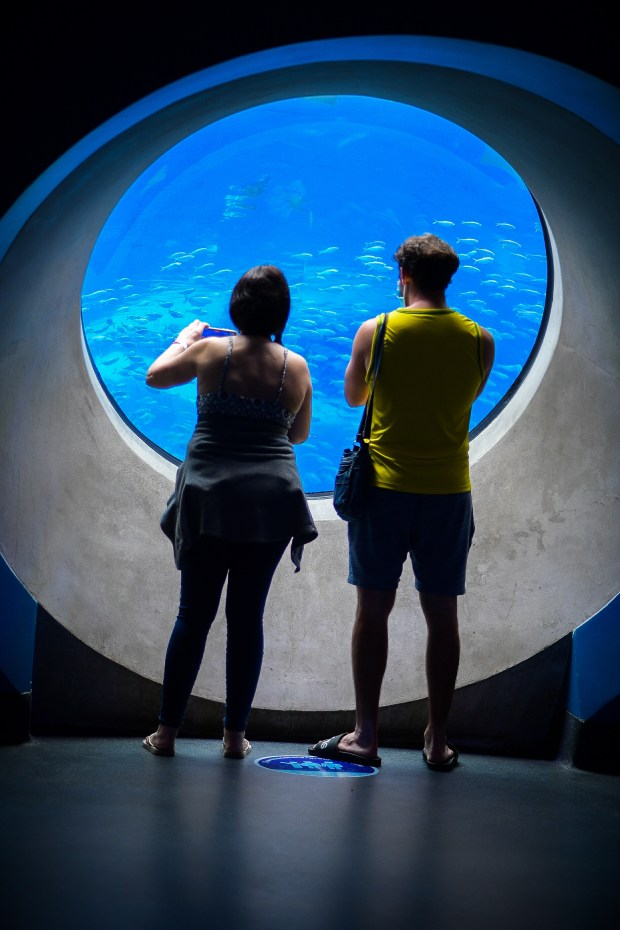 The Phillip and Patricia Frost Museum of Science in Downtown Miami's Maurice A. Ferré Park officially reopened its doors to the general public on Monday, June 15, 2020.