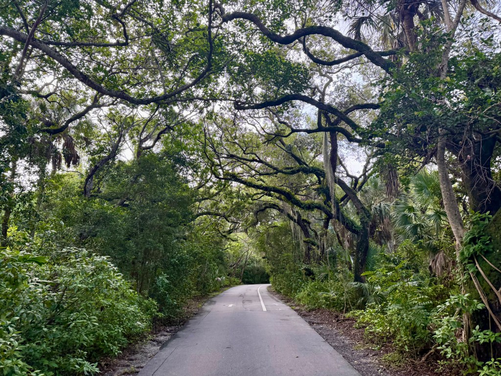 Fort Lauderdale tree plan would cost up to $103 million