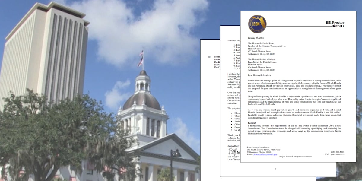 County commissioner calls for aide, not authority, over Tallahassee