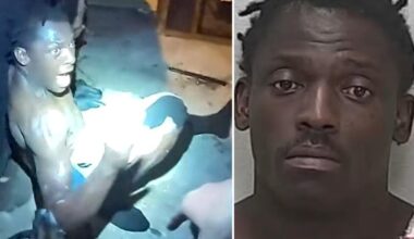 Shirtless Florida man sendtenced for diving through Taco Bell window, robbing place with 'large rock'